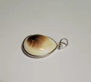 in nieuwstaat zilveren hanger met Shiva schelp hanger ook bekend als Shiva’s oog kopen? Bied vanaf 50!