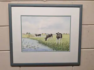 Wiebe A van der Zee - Koeien in de Wei kopen? Bied vanaf 125!