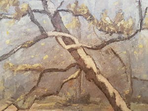 Auguste J.H. Van Steenacker - Besneeuwde boom kopen? Bied vanaf 35!