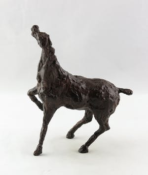 Annette Koek - Brons, Paard kopen? Bied vanaf 350!