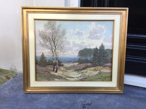 Willem Jacobus Alberts - C4623 - Heidegezicht kopen? Bied vanaf 100!