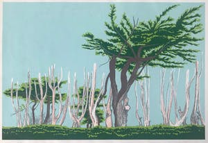 Sees Vlag - Gesigneerde zeefdruk - Bomen l'ile - Grande - 1971 kopen? Bied vanaf 35!
