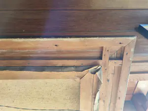 Gerard Wiegman - bomen kopen? Bied vanaf 200!