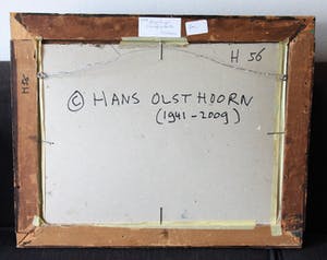 Hans Olsthoorn - Dorpshuizen kopen? Bied vanaf 150!