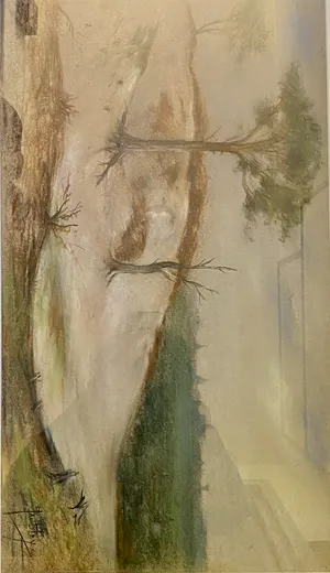 Jan Bleijs - Dorp van uit de duinen kopen? Bied vanaf 30!