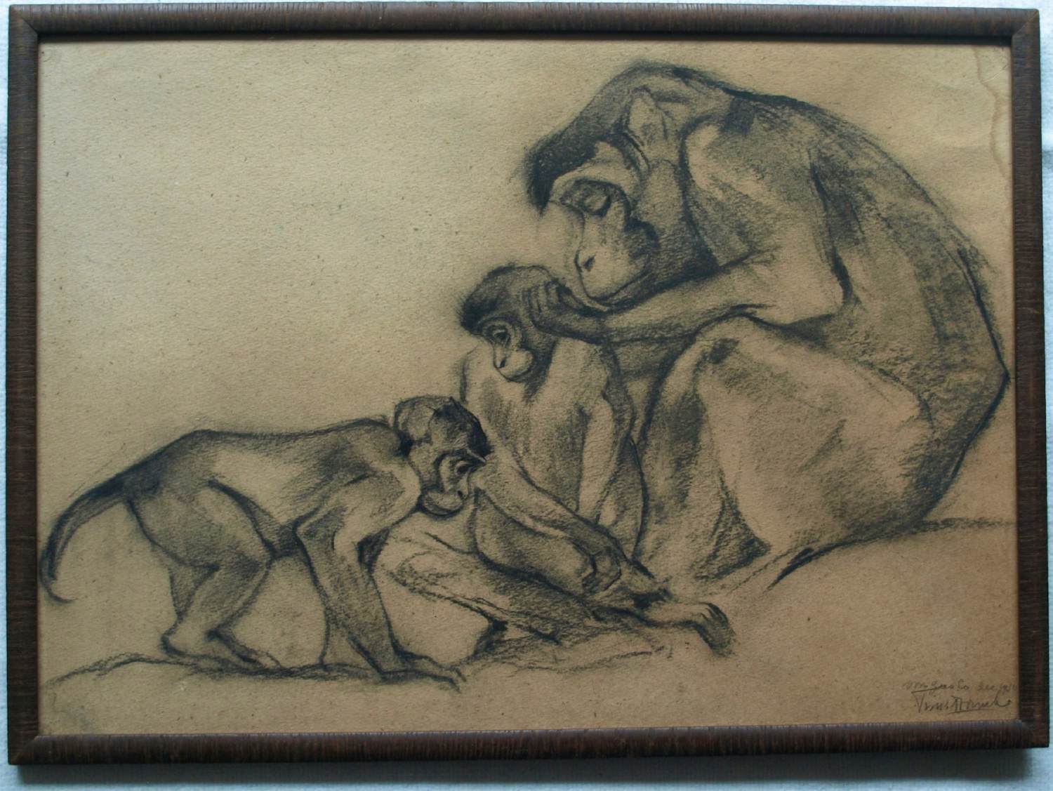 Tini van Doornik - Ingelijste houtskooltekening , Drie apen – 1930 – Lijst, 41½ x 57½ cm. kopen? Bied vanaf 100!