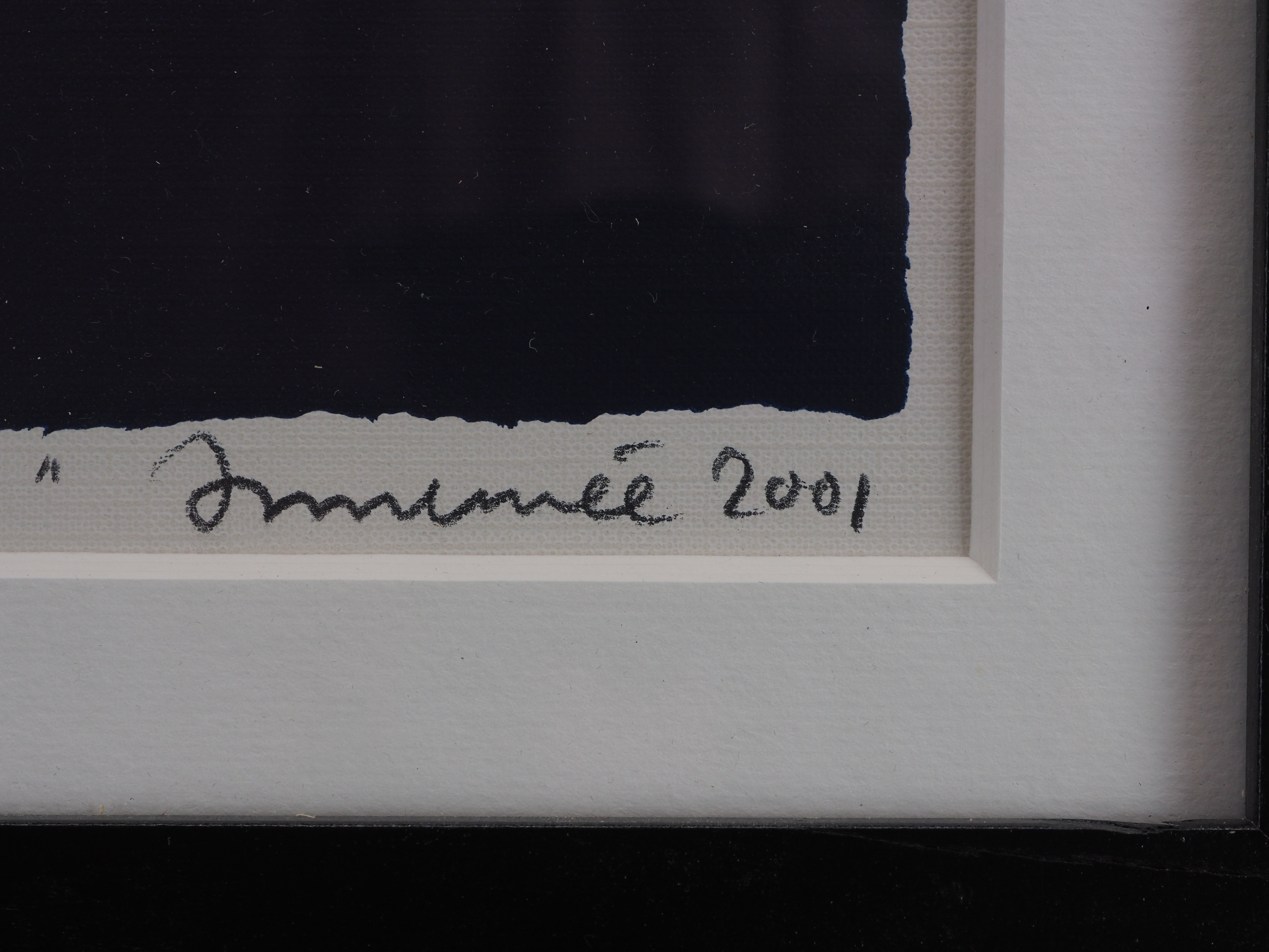 Hans Innemee - Kwaak, kwaak kopen? Bied vanaf 50!