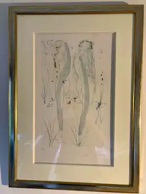 Salvador Dali - - Surrealistische naakten - Ingelijst - " Songs of King Solomon " verkocht voor € 650!