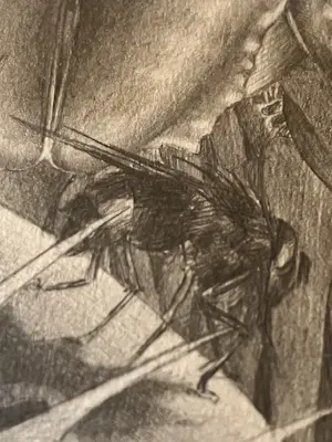 Annemarie Busschers - Unieke potloodtekening, vrouw met insecten, handgesigneerd kopen? Bied vanaf 150!