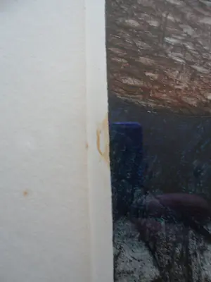 Ria Zurne - kleurenets 'Confrontatie in de geestentuin' kopen? Bied vanaf 25!