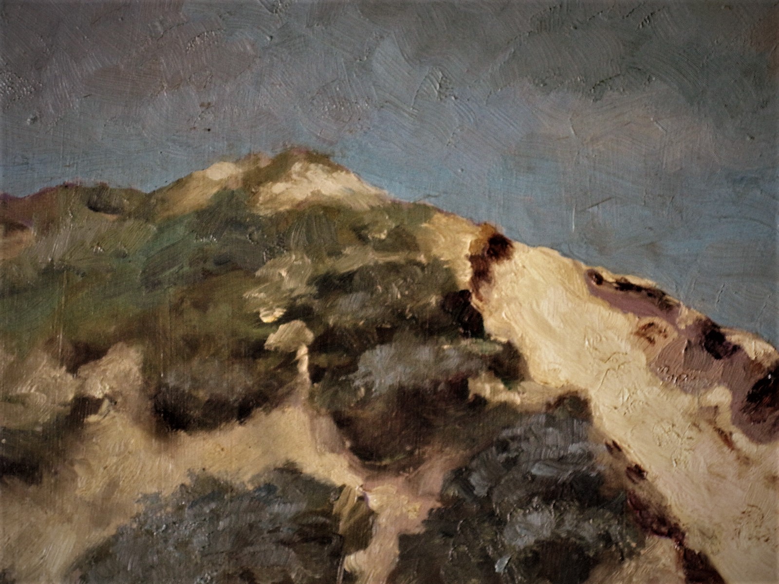 Niet of onleesbaar gesigneerd - Fraai in 1948 geschilderd olieverf "Zonnig Duinlandschap" gesigneerd  kopen? Bied vanaf 1!