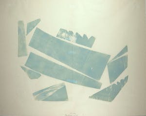 Carel Visser - Houtsnede op Japans papier, Vissen - Ingelijst (Groot) kopen? Bied vanaf 300!