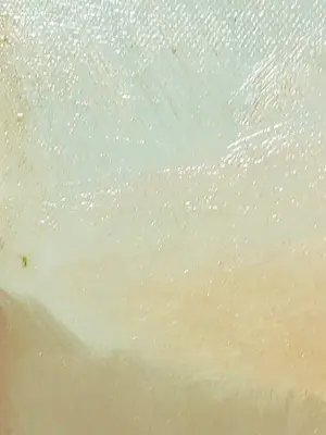 S. Schreuder-Blom - Olieverf op doek, Ganzen op plas - Ingelijst kopen? Bied vanaf 1!