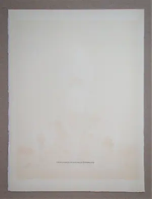 Graham Sutherland - Eerbetoon aan San Lazzaro - 1975 - Originele lithografie - Moulot kopen? Bied vanaf 100!