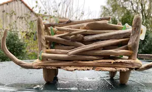 Ton Paauw - onbekend kopen? Bied vanaf 25!