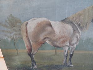 Niet of onleesbaar gesigneerd - Paard in de wei kopen? Bied vanaf 10!