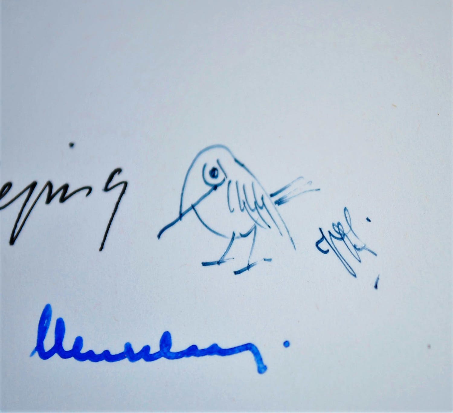 Peter Vos - tekening en signatuur in boek - plus 2 signaturen vd samenstellers kopen? Bied vanaf 30!