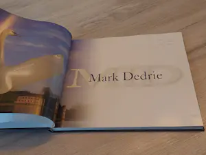 Mark Dedrie - Art in nature - Bronze sculptures - gesigneerd kopen? Bied vanaf 20!