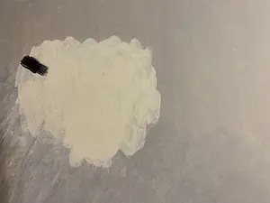 Roger Raveel - Jubileum burgemeester kopen? Bied vanaf 75!