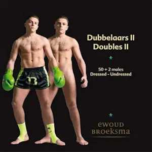 Ewoud Broeksma - Dubbelaars II kopen? Bied vanaf 45!