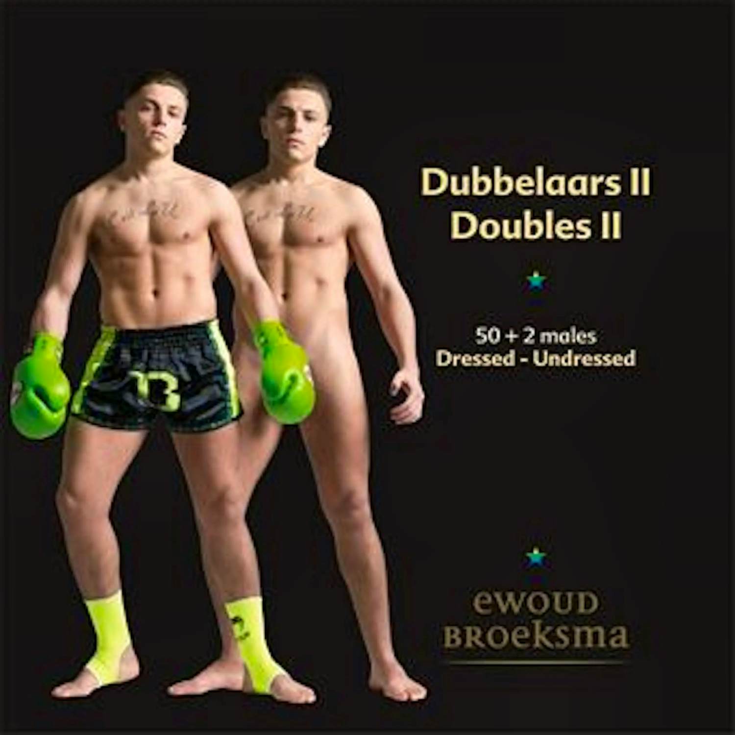 Ewoud Broeksma - Dubbelaars II kopen? Bied vanaf 45!