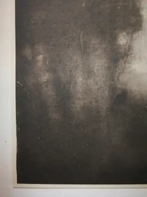 Jan Mankes - Drie lijsters. kopen? Bied vanaf 75!