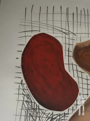 David Stein - D'apres Picasso kopen? Bied vanaf 150!