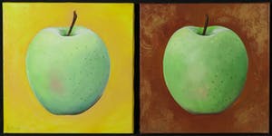 Mylene Vrolijk - Acryl op doek, Tweeluik groene appels kopen? Bied vanaf 35!