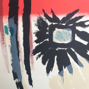 Jan Cox - Originele kleurenlitho - 1978 - 105/150 - Gesigneerd kopen? Bied vanaf 95!