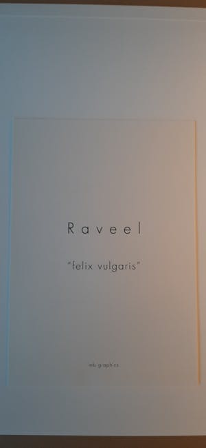 Roger Raveel - handgesigneerde Litho - Felix Vulgaris kopen? Bied vanaf 450!