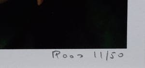 Bert Houweling - Roos in verval kopen? Bied vanaf 10!