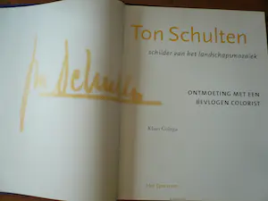 Ton Schulten - Ton Schulten, schilder van het landschapsmozaïk kopen? Bied vanaf 1!