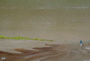 Franklin Meijer - Strand - Noord-Holland - Man met hond kopen? Bied vanaf 49!