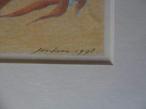 Jan Hein van Rooy - Litho, Plant Agave kopen? Bied vanaf 25!