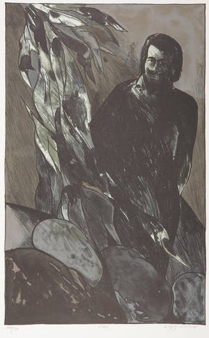 Wolff Buchholz - Litho, L7501 kopen? Bied vanaf 1!