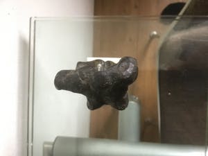 Brons (Onbekend) - Vrouwen torso kopen? Bied vanaf 20!