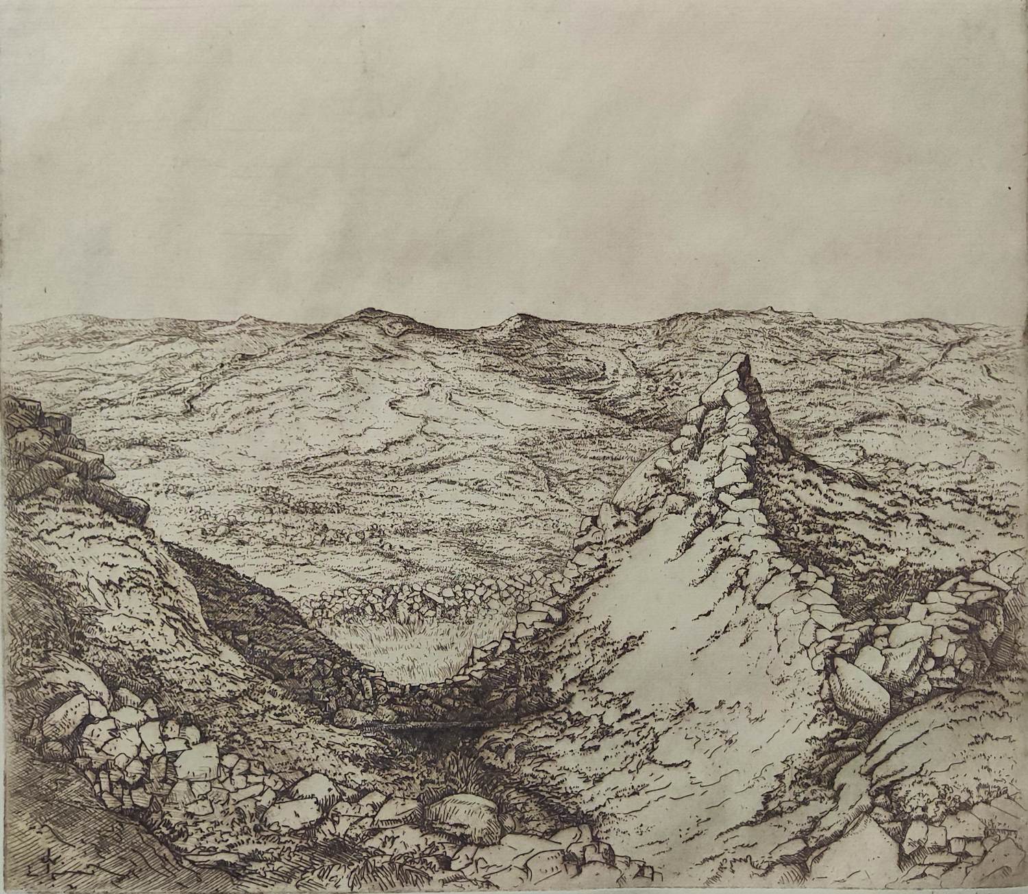 Jan Coenraad Nachenius - Landschap in Ierland kopen? Bied vanaf 40!