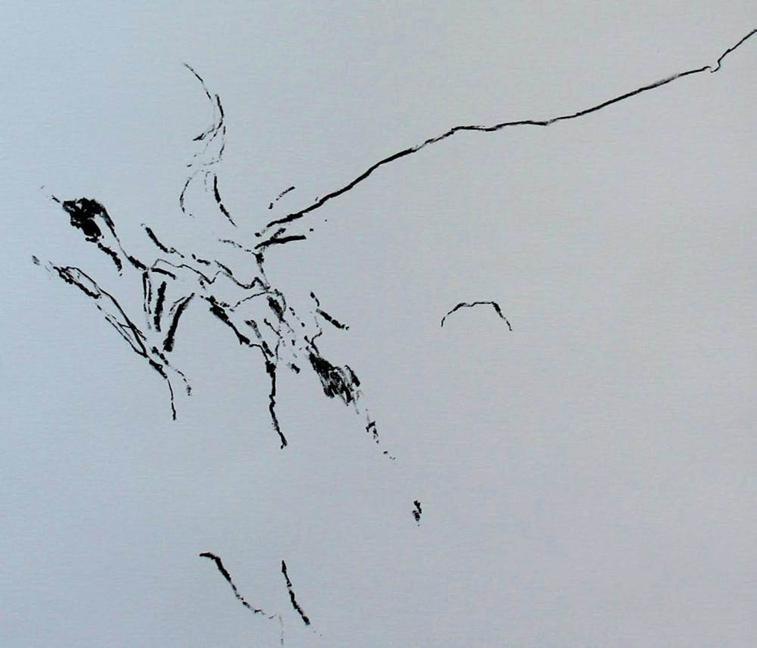 Armando - litho: Het Plechtige, Het Donkere - 1984 kopen? Bied vanaf 195!