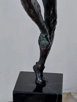 Buy Robbert Jan Donker - Fluitspeler? Bid from 110!