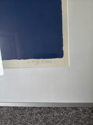 Alphons van Leeuwen - Grafiek person kopen? Bied vanaf 50!