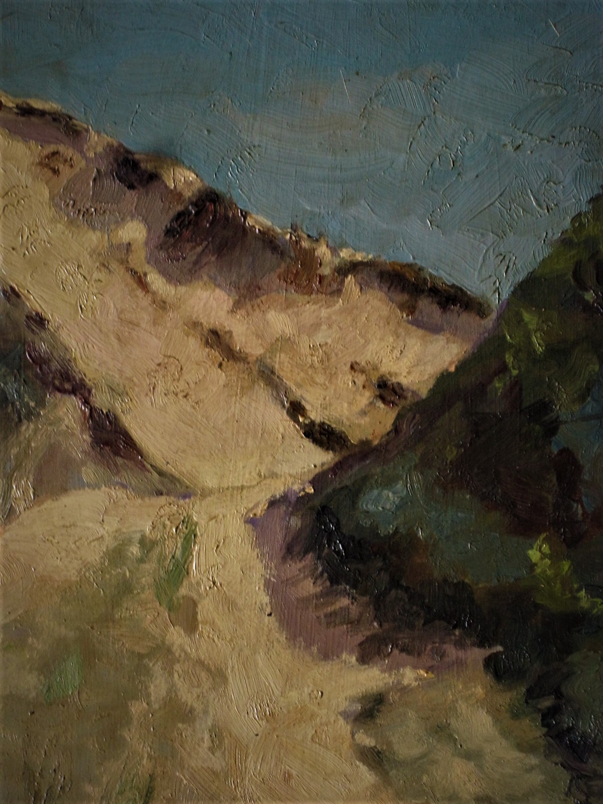 Niet of onleesbaar gesigneerd - Fraai in 1948 geschilderd olieverf "Zonnig Duinlandschap" gesigneerd  kopen? Bied vanaf 1!