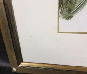 Lieuwe Smid - Olieverf op papier, Esta - Ingelijst kopen? Bied vanaf 1!