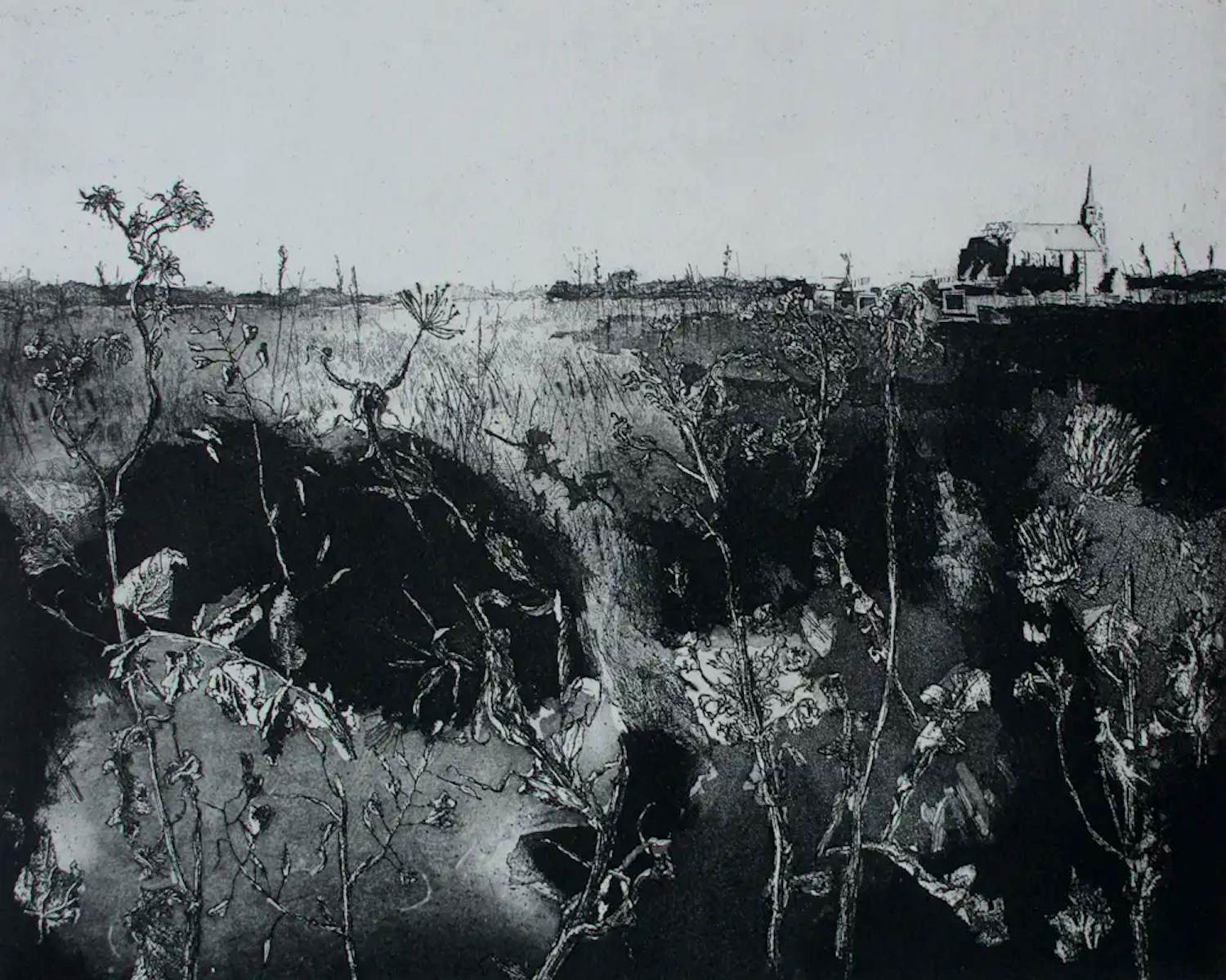 Simon Koene - Ets: Landschap met onkruiden - 1971 kopen? Bied vanaf 99!