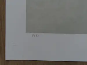 Armando - Der Zaun kopen? Bied vanaf 50!