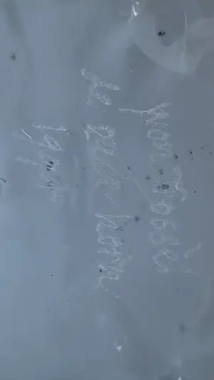 Yvon Trossèl - Mushroom van glas kopen? Bied vanaf 50!