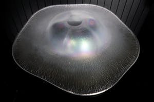 Willem Rozendaal - stervormige schaal ( Maastricht ) coquille kopen? Bied vanaf 25!