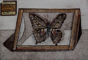 Arja van den Berg - Ets: 1976 kopen? Bied vanaf 50!