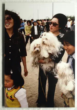 Henk Schiffmacher - Gesigneerde foto op dibond “Vrouw met Honden” + gesigneerd fotoboek kopen? Bied vanaf 150!