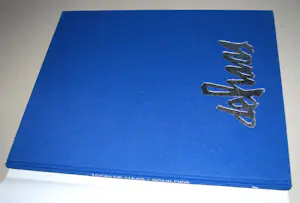 Toon de Haas - moeder met baby - litho - mooi ingelijst - inclusief boek kopen? Bied vanaf 75!