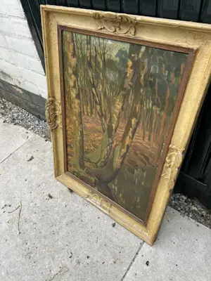 Onbekend - boom in bos kopen? Bied vanaf 50!